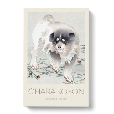 Young Dog Print By Ohara Koson Canvas Print Main Image