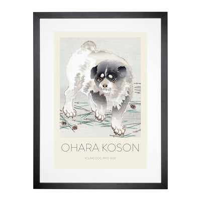 Young Dog Print By Ohara Koson Framed Print Main Image