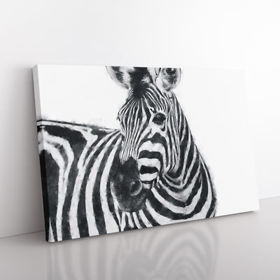 Zebra Vol.6